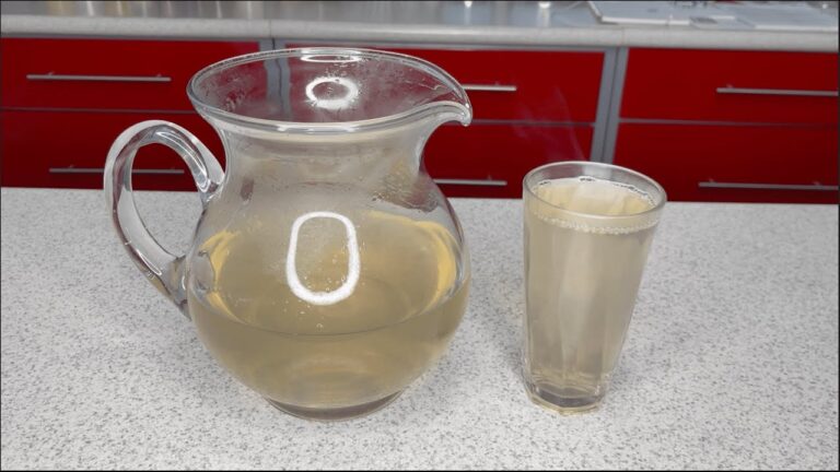 Pulque: &iquest;enemigo o aliado de la dieta? Descubre si engorda o adelgaza